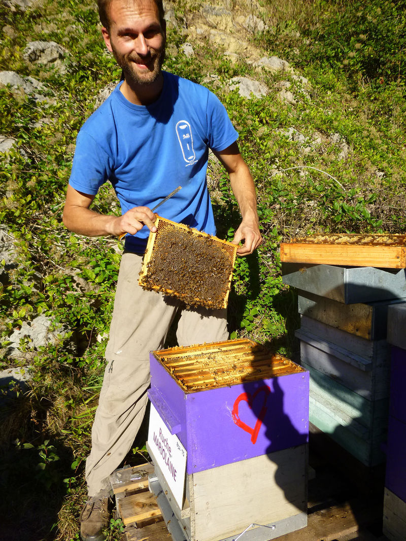 La ruche Marjolaine