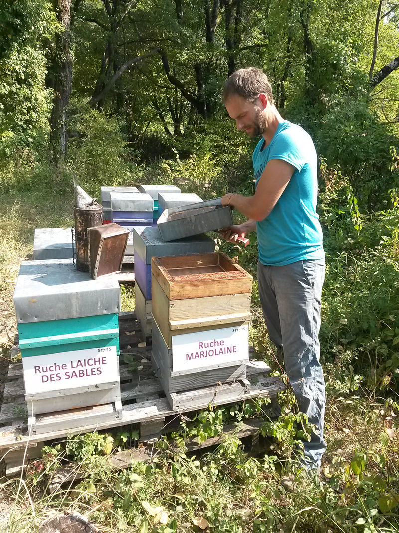 La ruche Marjolaine