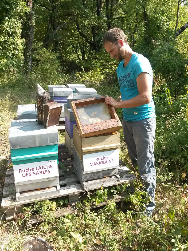 La ruche Marjolaine