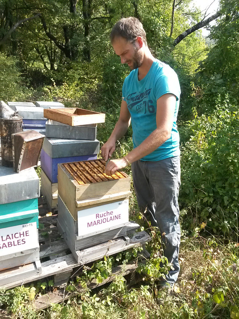 La ruche Marjolaine