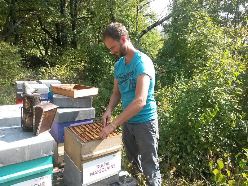 La ruche Marjolaine