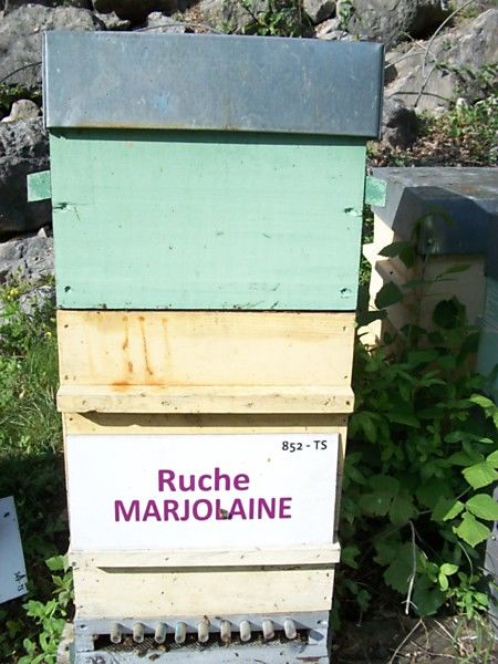 La ruche Marjolaine