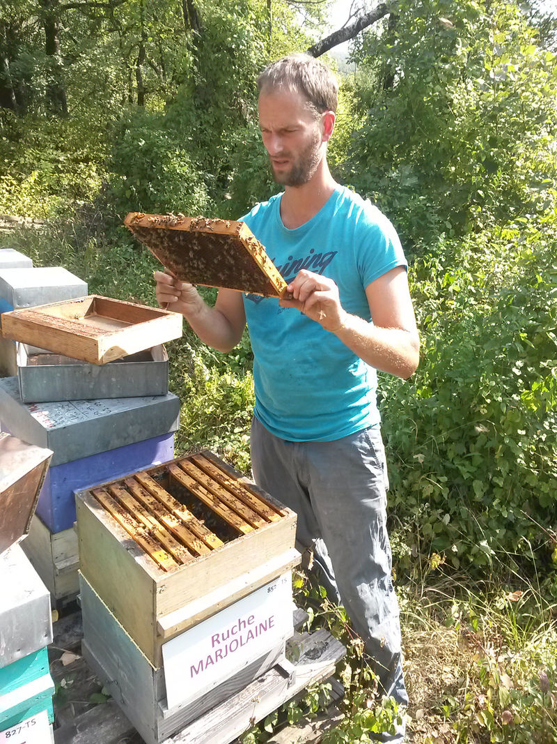 La ruche Marjolaine