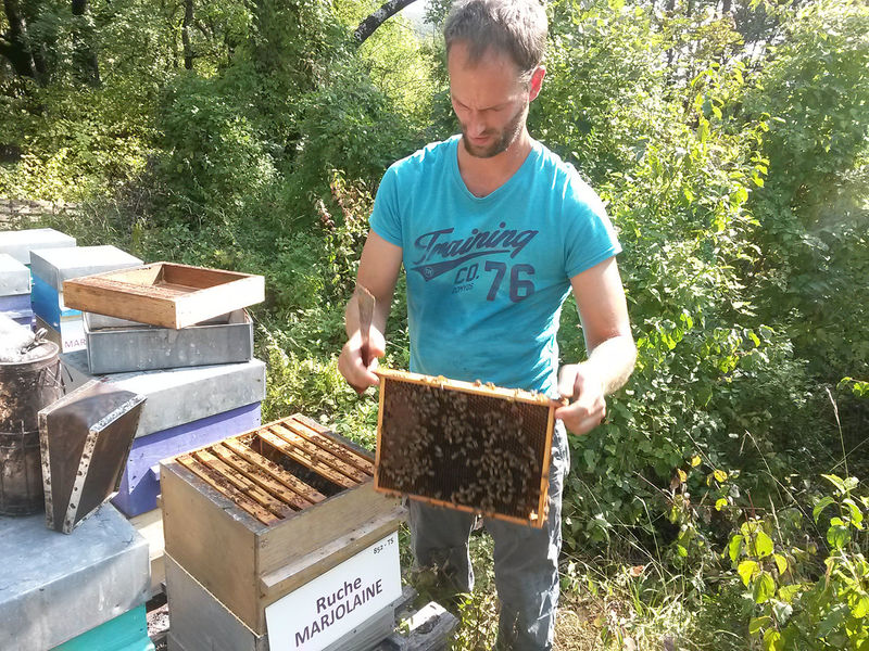La ruche Marjolaine