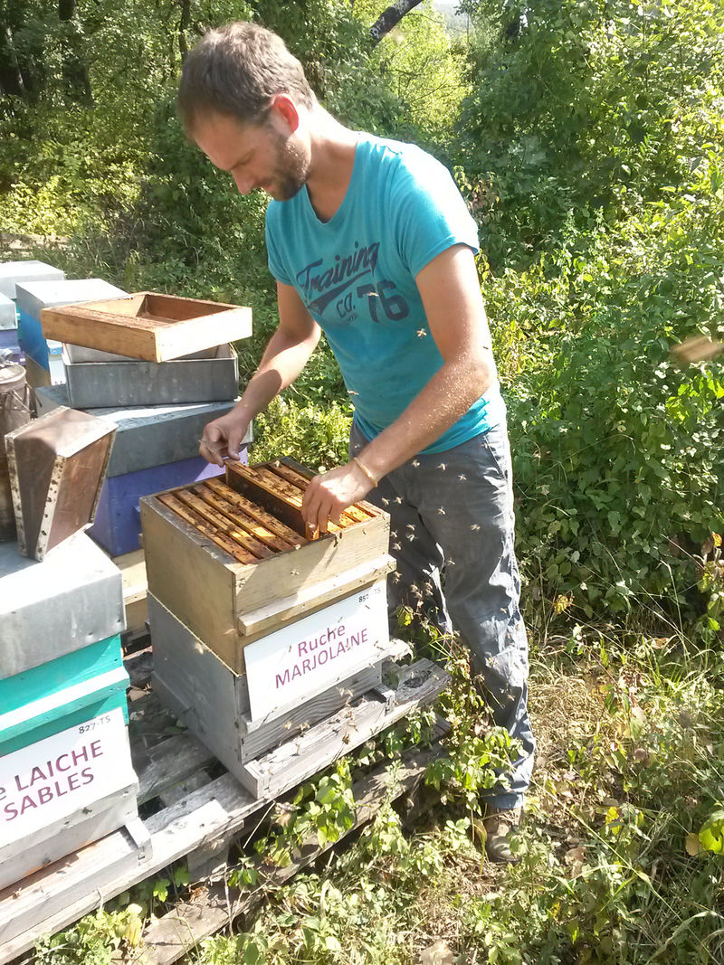 La ruche Marjolaine