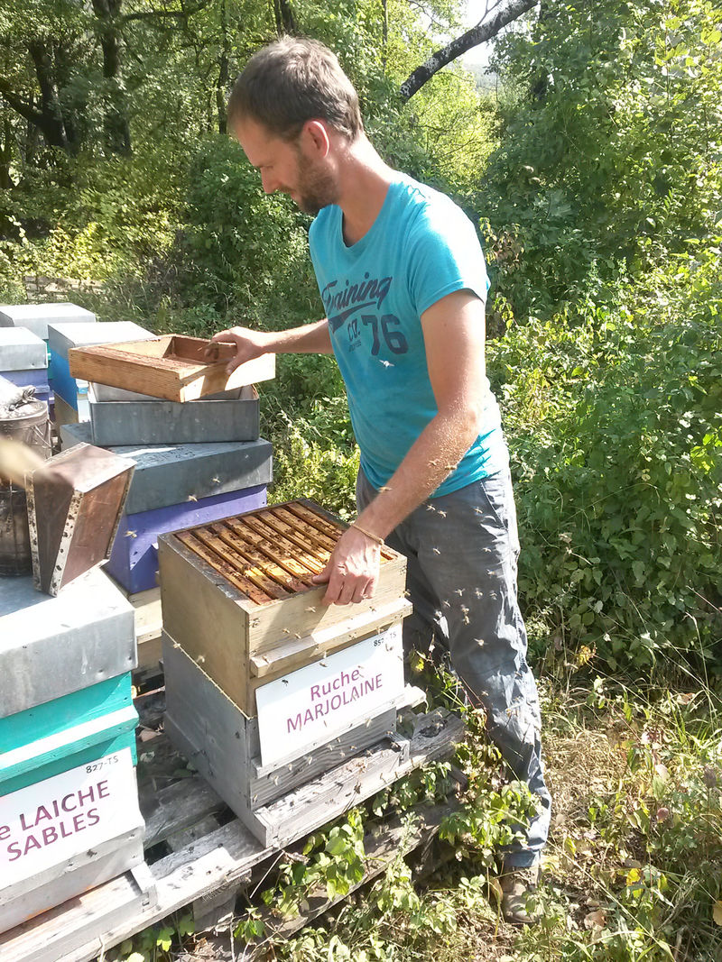 La ruche Marjolaine