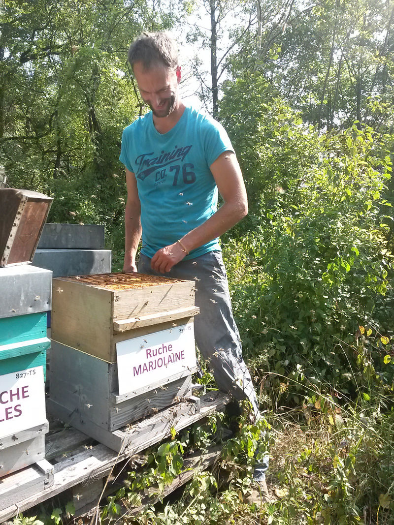 La ruche Marjolaine