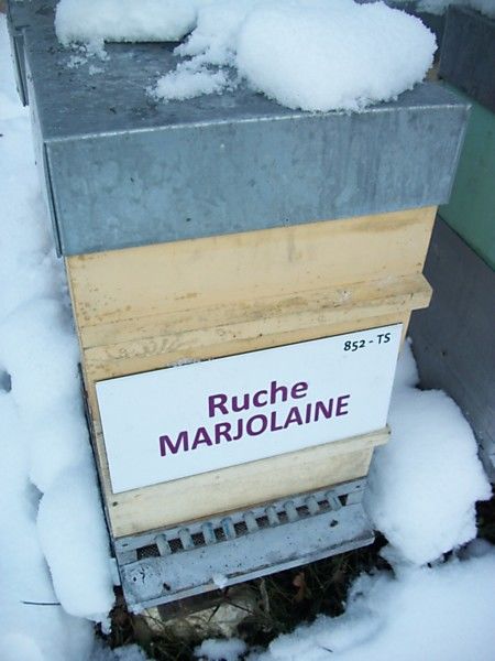 La ruche Marjolaine