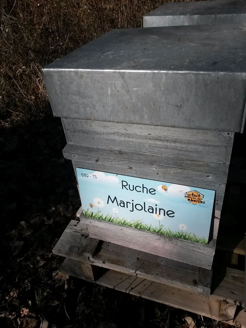 La ruche Marjolaine