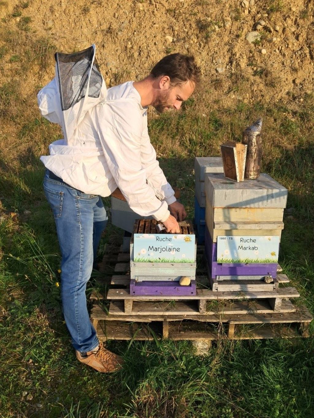La ruche Marjolaine