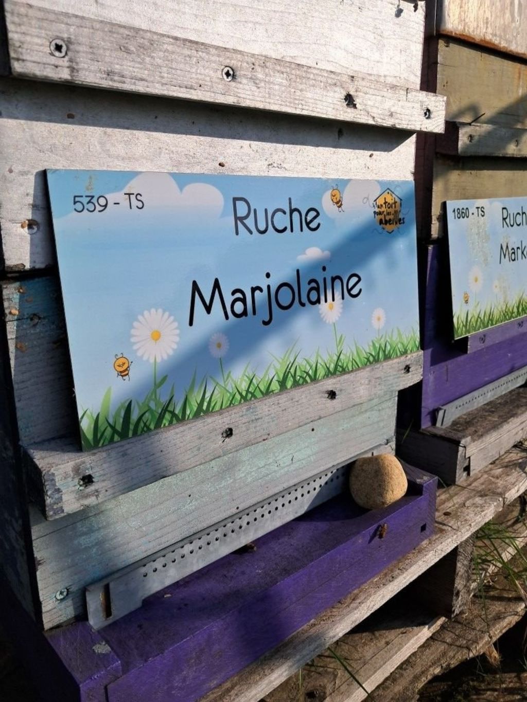 La ruche Marjolaine