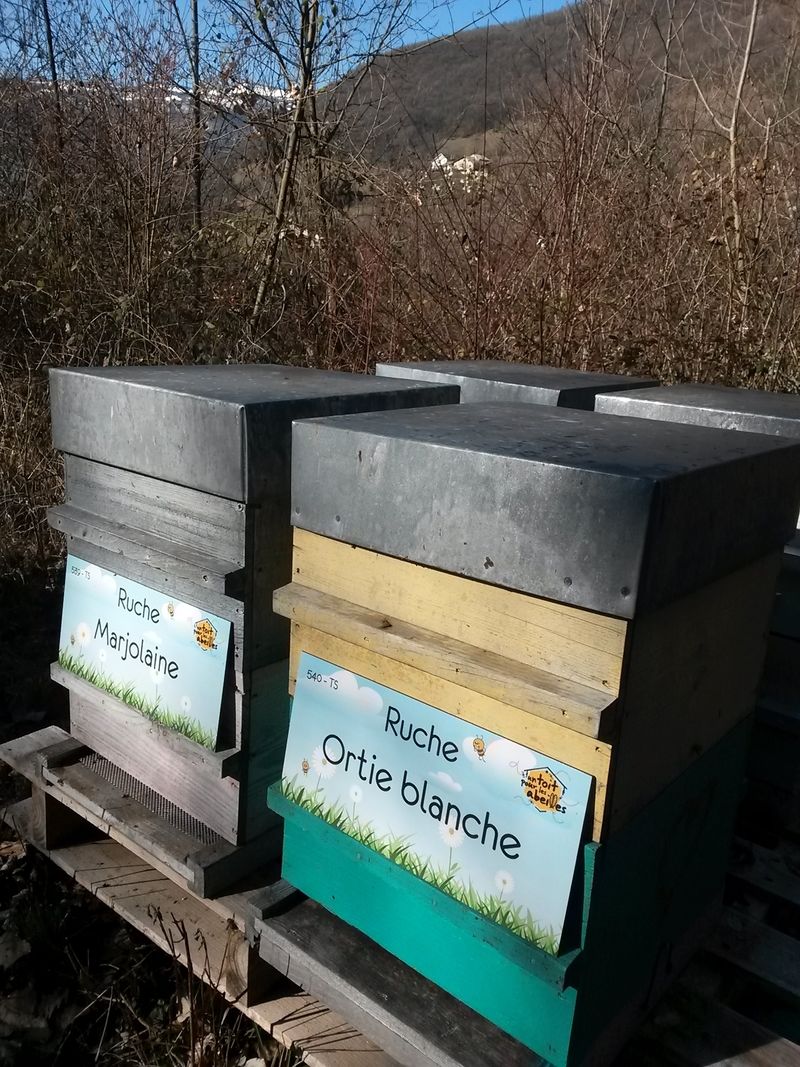 La ruche Marjolaine