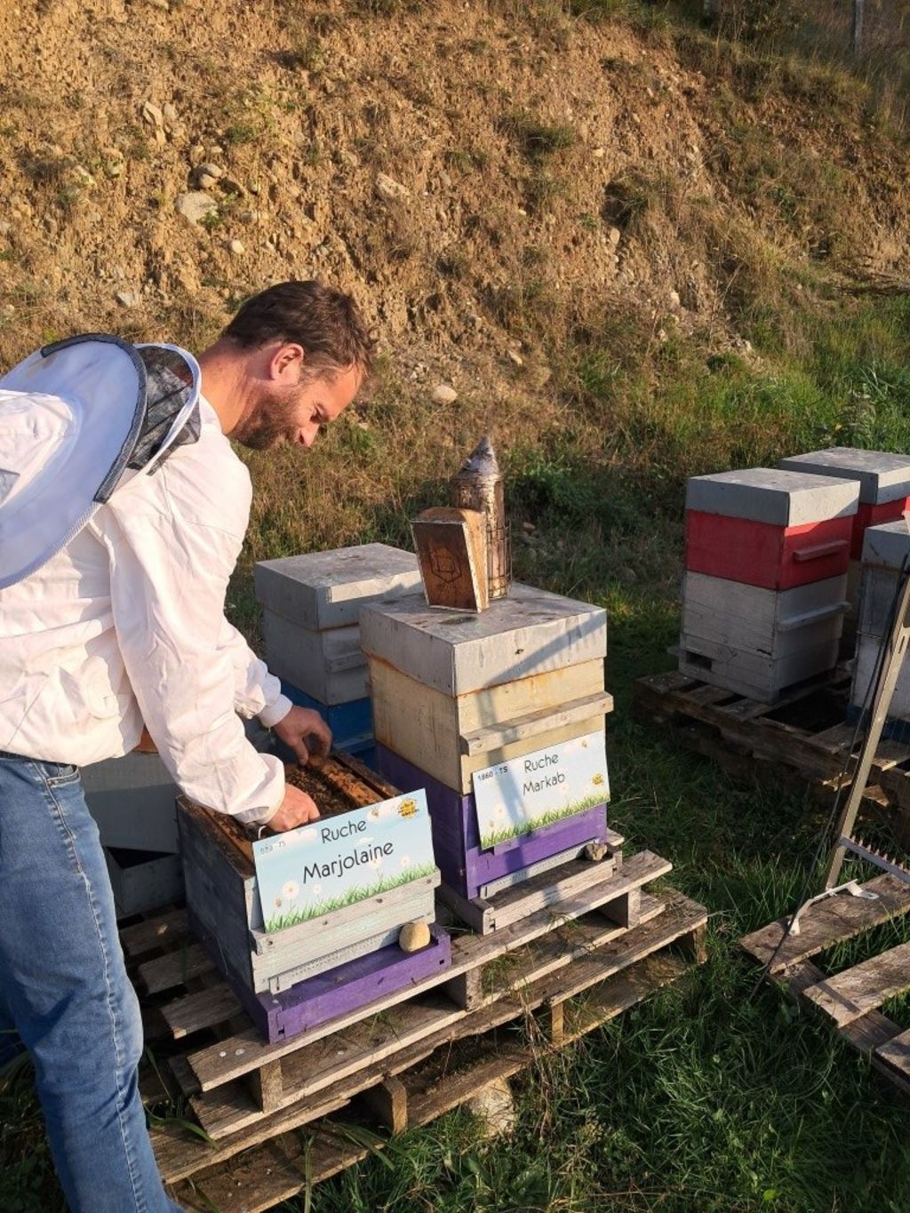 La ruche Marjolaine