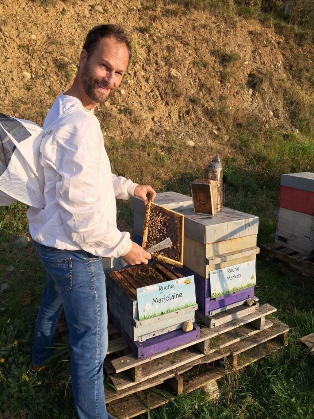 La ruche Marjolaine