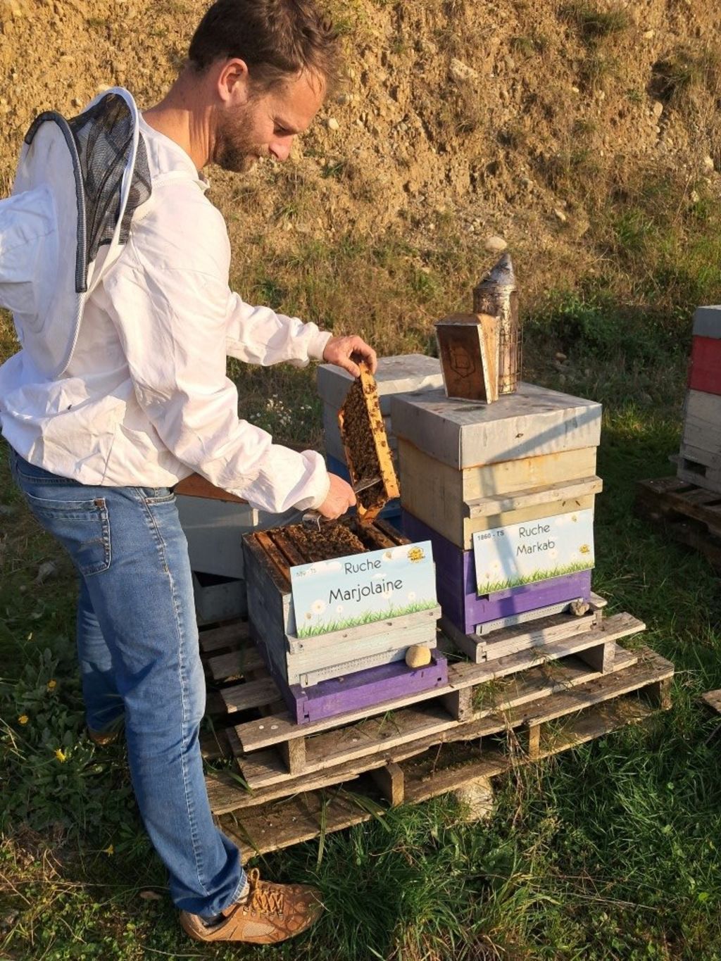 La ruche Marjolaine