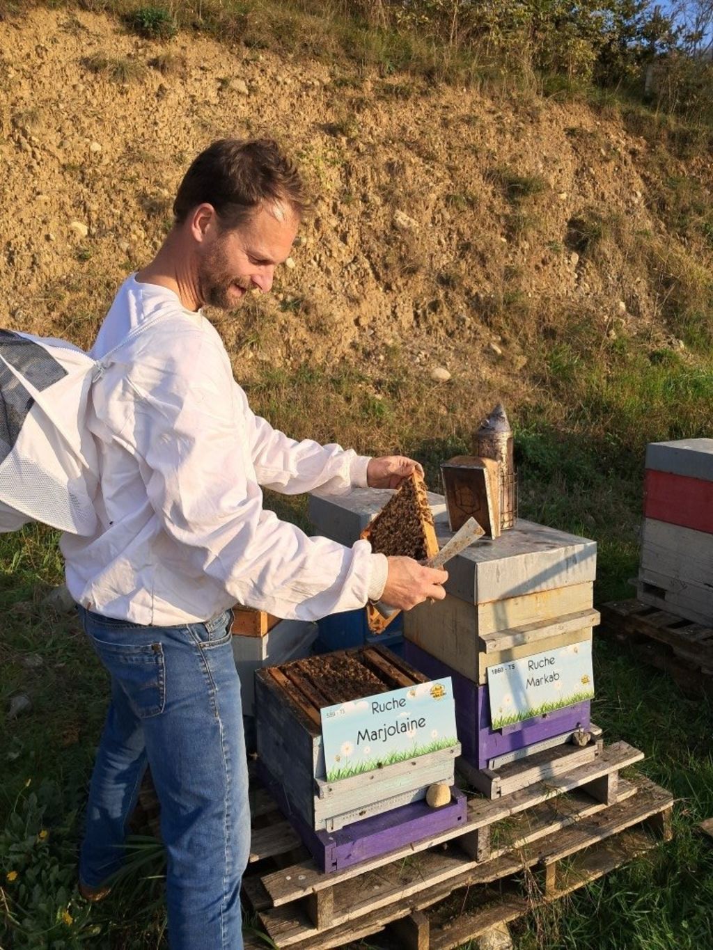 La ruche Marjolaine