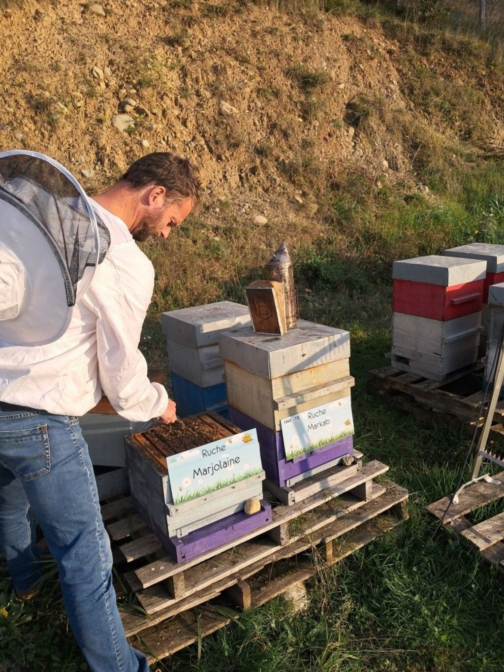 La ruche Marjolaine
