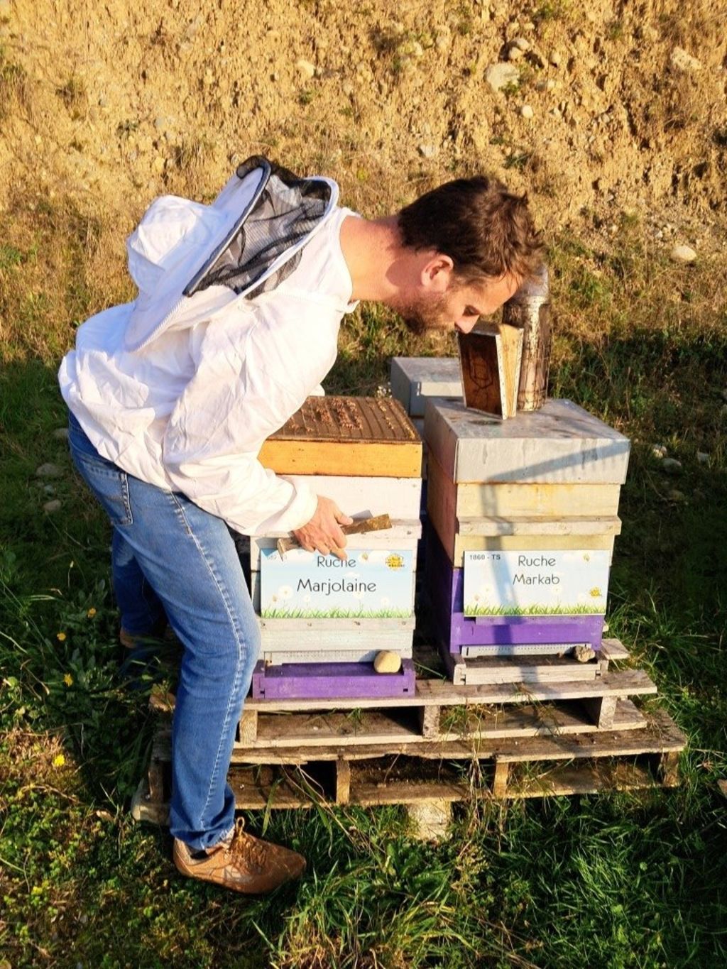 La ruche Marjolaine