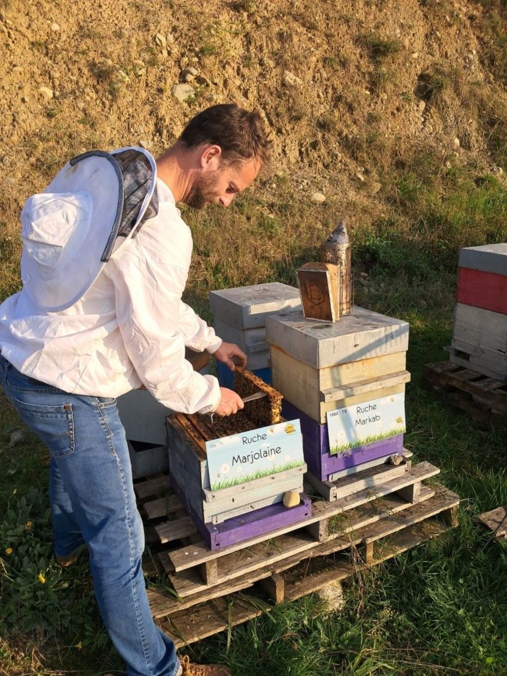 La ruche Marjolaine