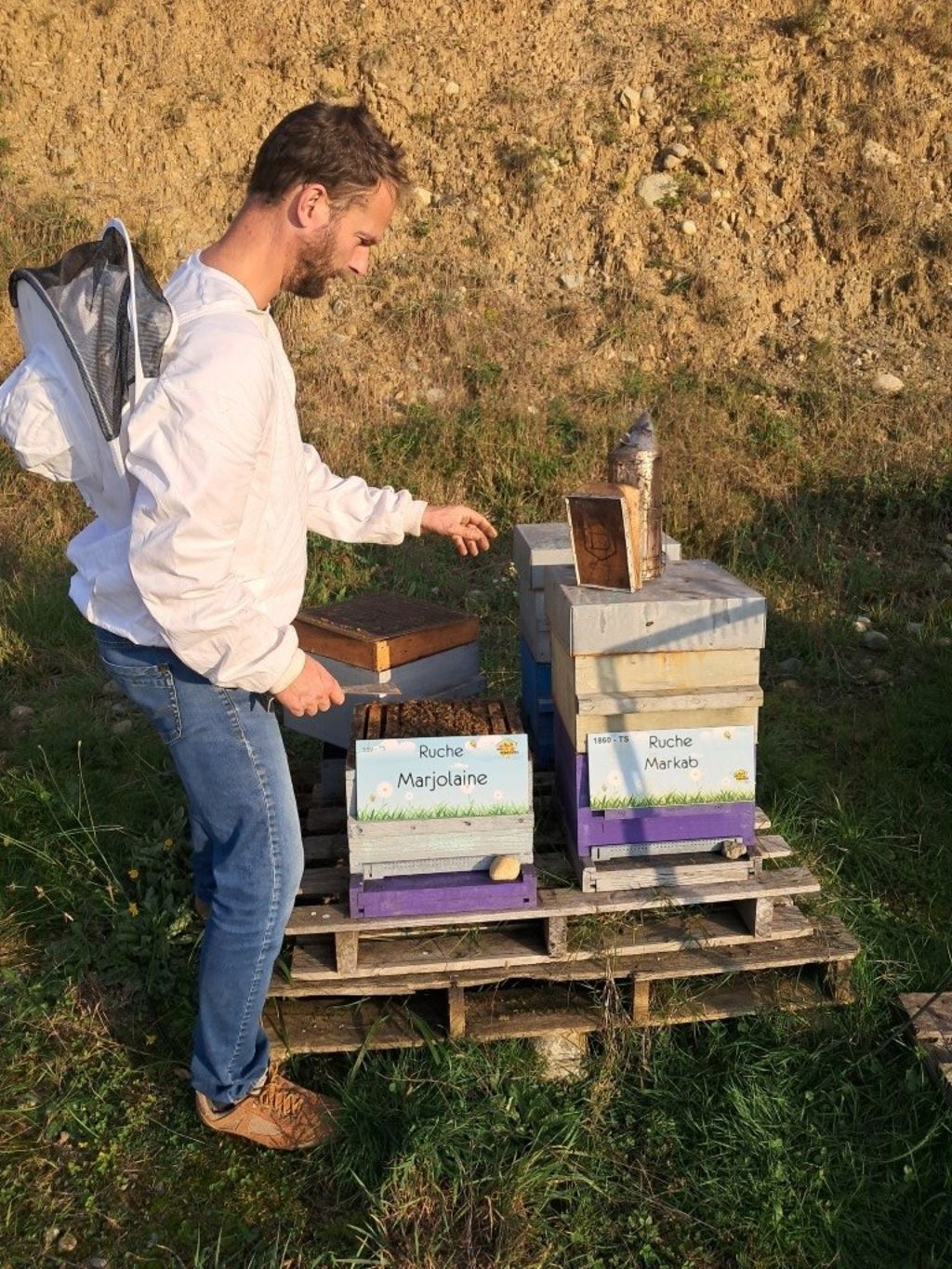 La ruche Marjolaine