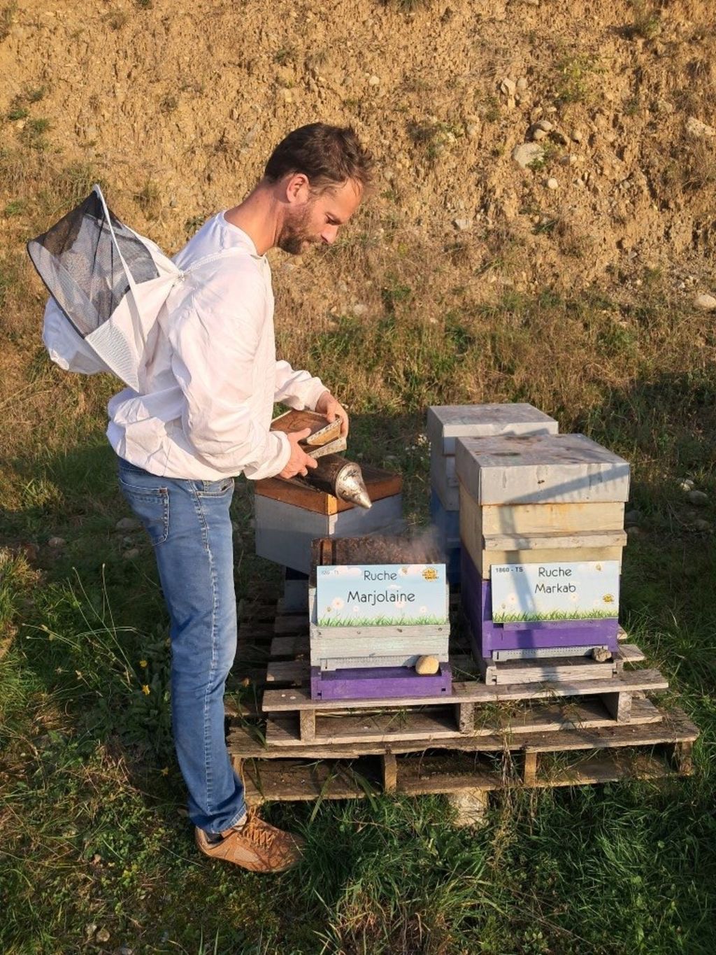 La ruche Marjolaine