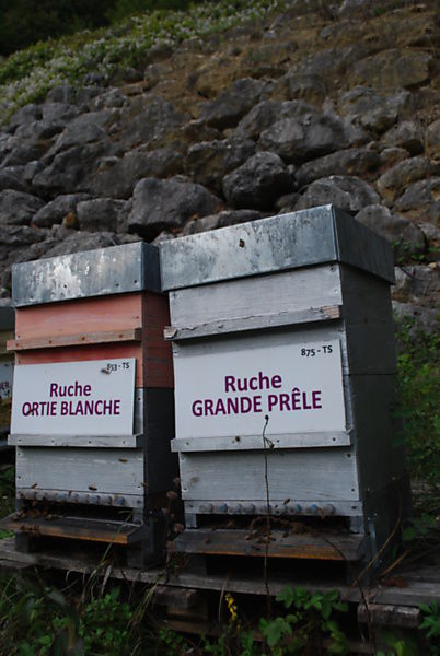 La ruche