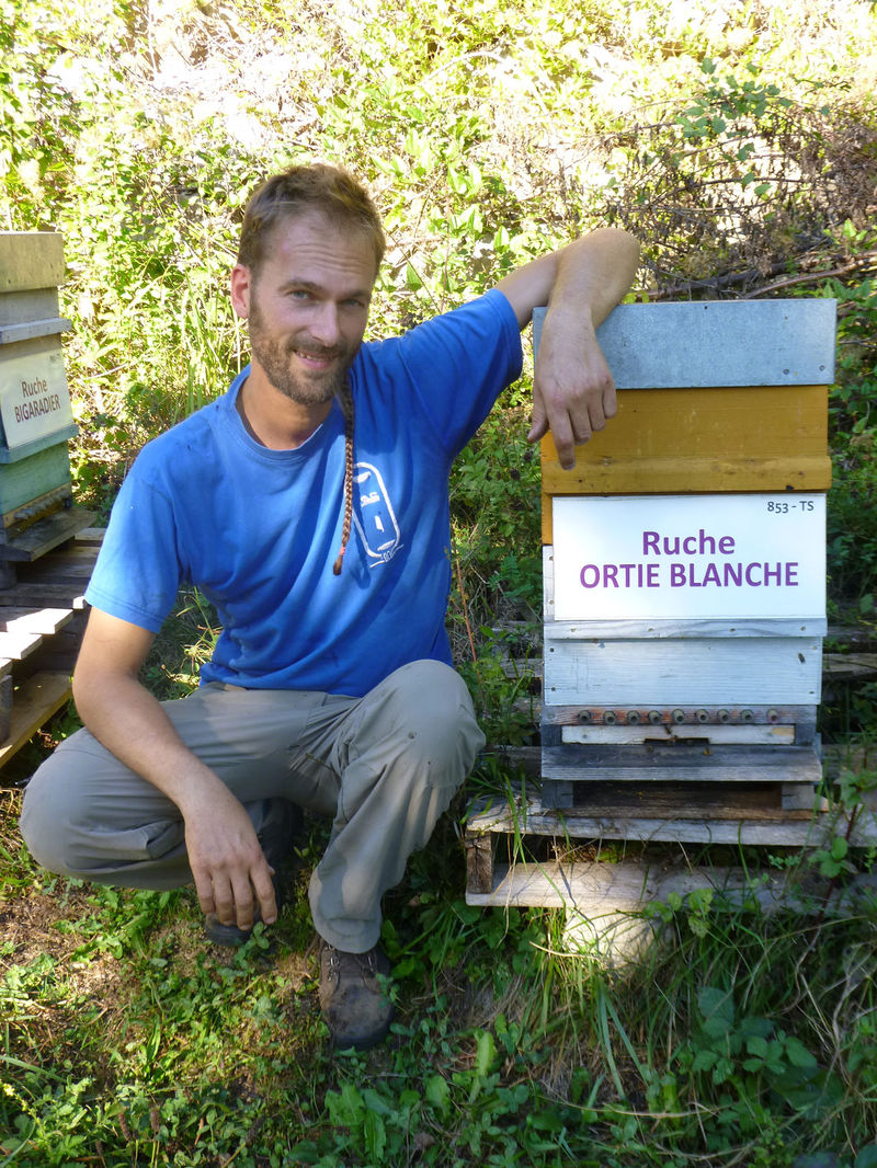 La ruche Ortie blanche