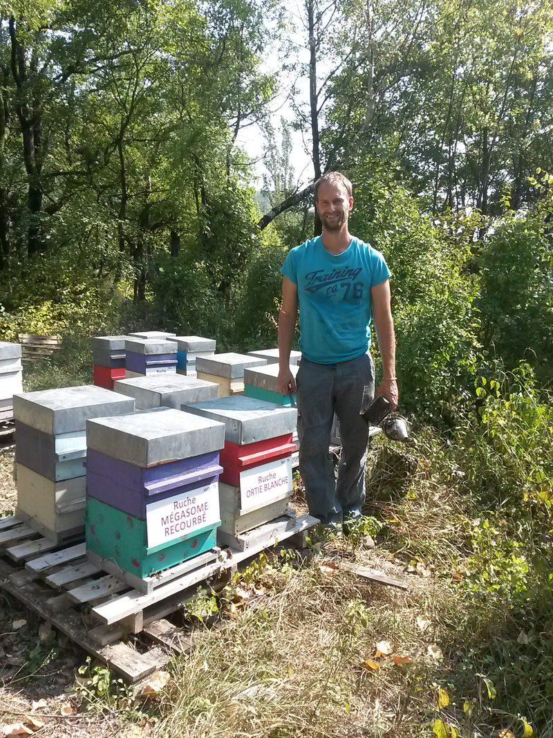 La ruche Ortie blanche