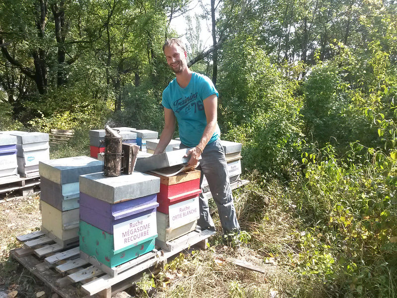 La ruche Ortie blanche