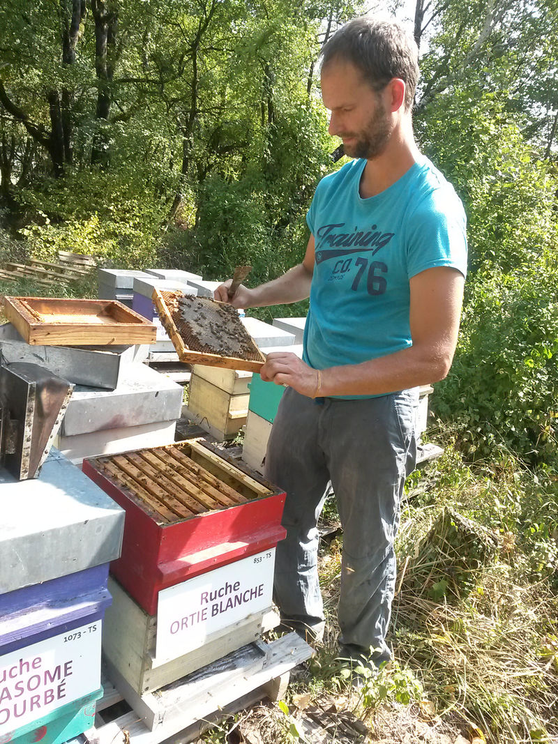 La ruche Ortie blanche