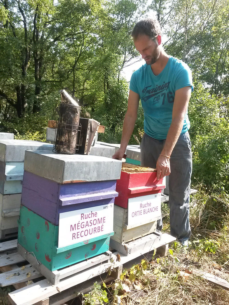 La ruche Ortie blanche