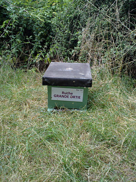 La ruche Grande ortie