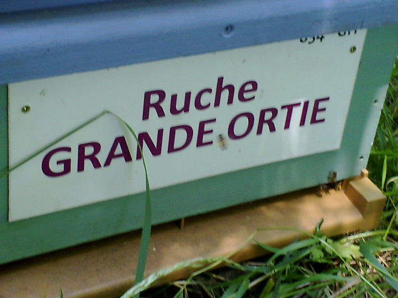 La ruche Grande ortie