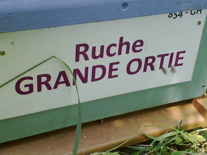 La ruche Grande ortie