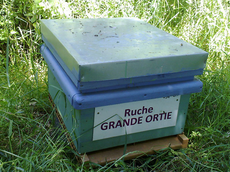 La ruche Grande ortie