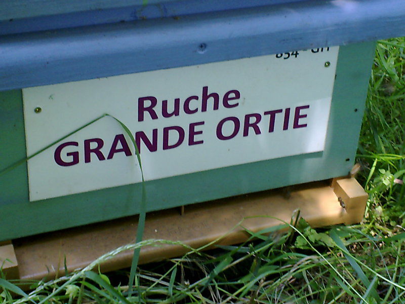 La ruche Grande ortie