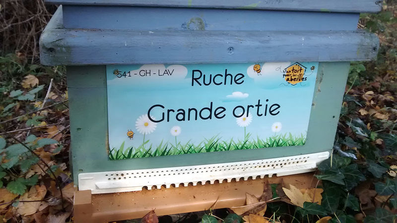 La ruche Grande ortie