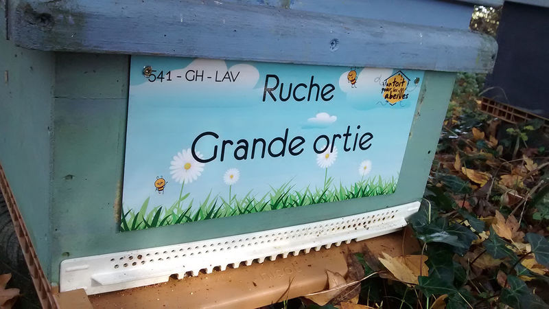 La ruche Grande ortie