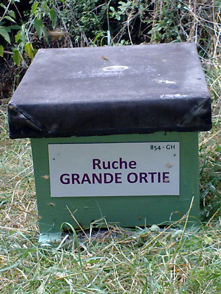 La ruche Grande ortie