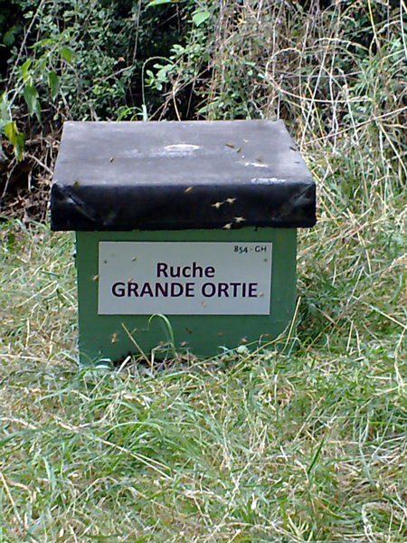 La ruche Grande ortie