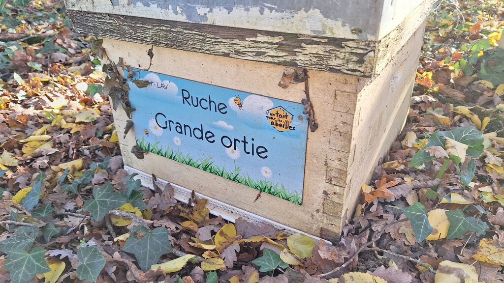 La ruche Grande ortie