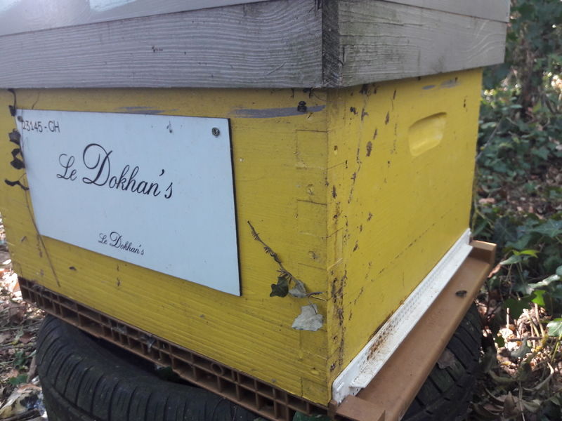 La ruche Grande ortie