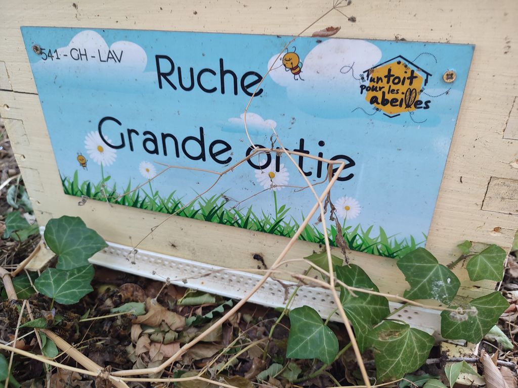 La ruche Grande ortie