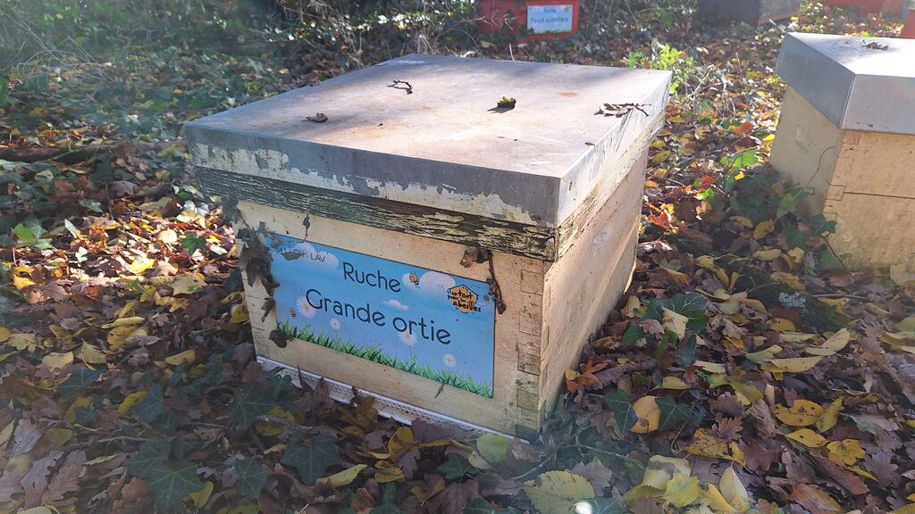 La ruche Grande ortie