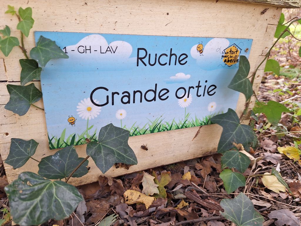 La ruche Grande ortie