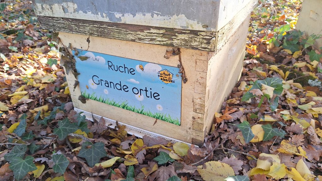 La ruche Grande ortie