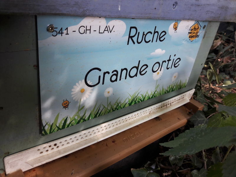 La ruche Grande ortie