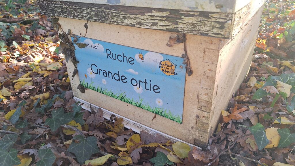 La ruche Grande ortie