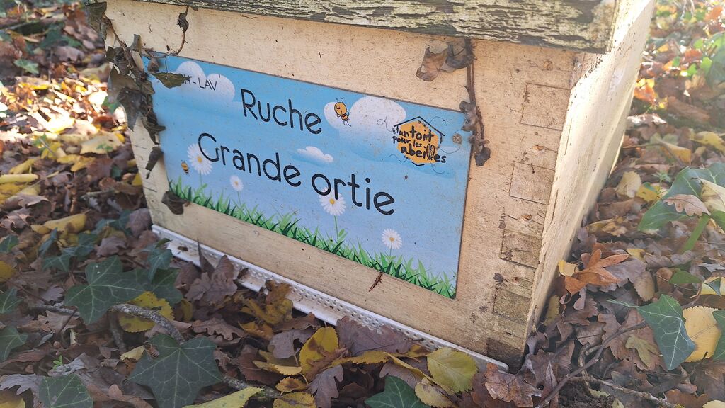 La ruche Grande ortie
