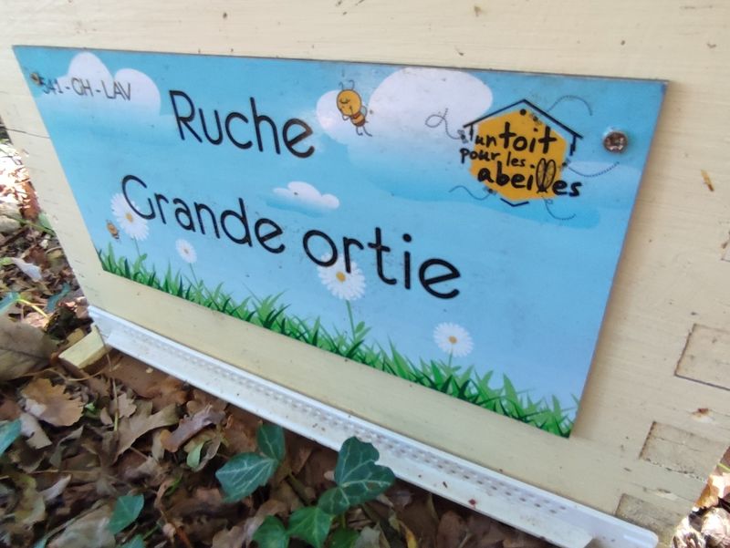 La ruche Grande ortie